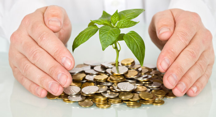 Стартап Primalbase собрал свыше 3000 биткоинов в ходе ICO