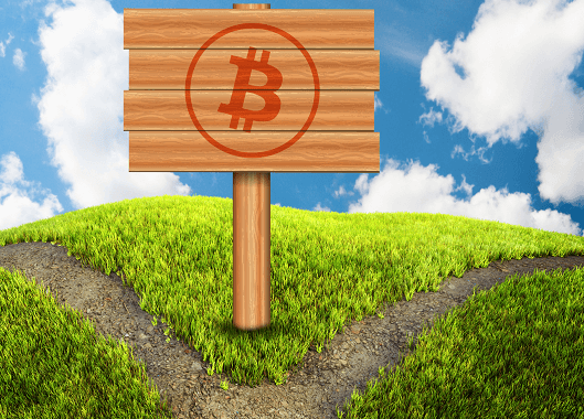 Поддержка Bitcoin Cash растет по мере приближения 1 августа