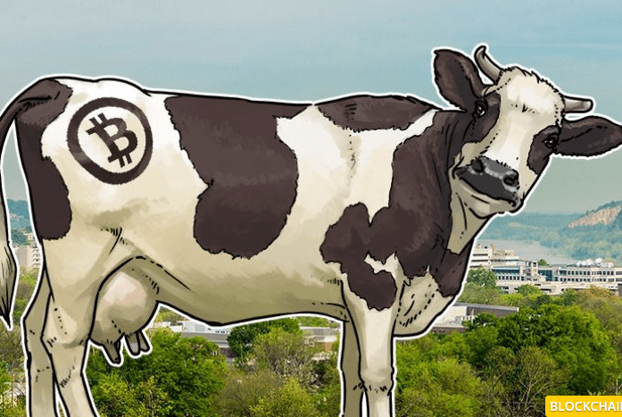 coinmag