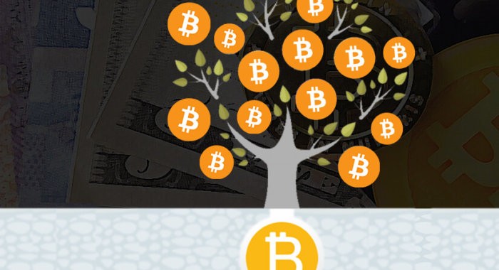 Bitcoin Cash майнинг. Ситуация критическая?