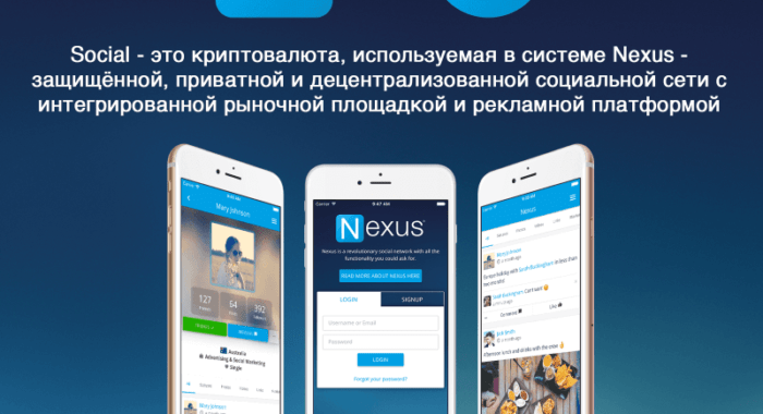 Анализ ICO: Social (Nexus)