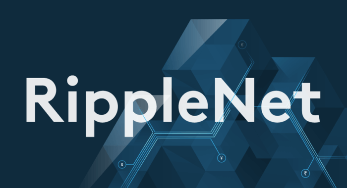 Ripple расширяет линейку своих продуктов