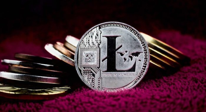 Кто-то перераспределил 22% всех LTC