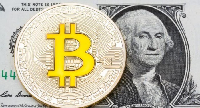 5 способов заработать на падении биткоина
