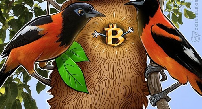 Биржа LocalBitcoins сообщает о четырехкратном увеличении объема торгов в Венесуэле