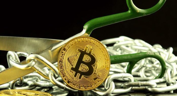 Простой гайд о том, что такое форки биткойна и почему они происходят