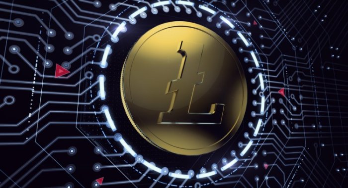 10 компаний и сайтов, которые принимают Litecoin