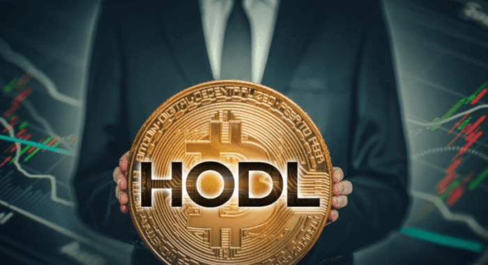 Что нужно знать о стратегии HODL