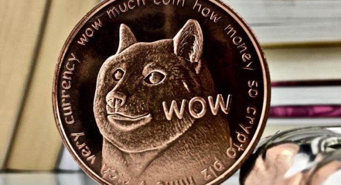 Результаты Dogecoin к 6-летнему юбилею