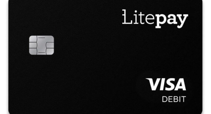Может ли LitePay простимулировать принятие криптовалют?