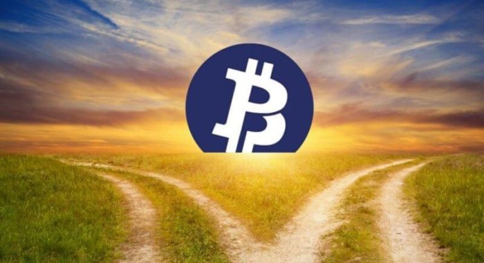 Биржа Bittrex начислит Bitcoin Private только держателям Zclassic