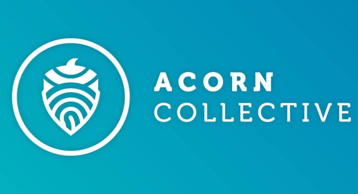 Платформа Acorn Collective — шанс для любого стартапа