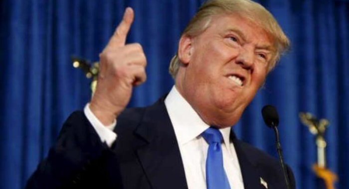 Новость об участии Трампа на конференции Bitcoin 2024 повысила курс мемкоинов