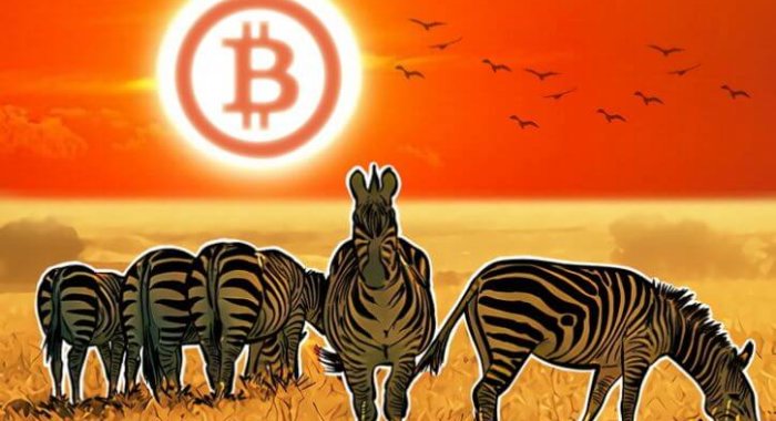 Криптовалютная P2P-революции в Африке