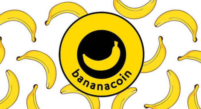 Bananacoin опроверг слухи информацию об уголовном деле