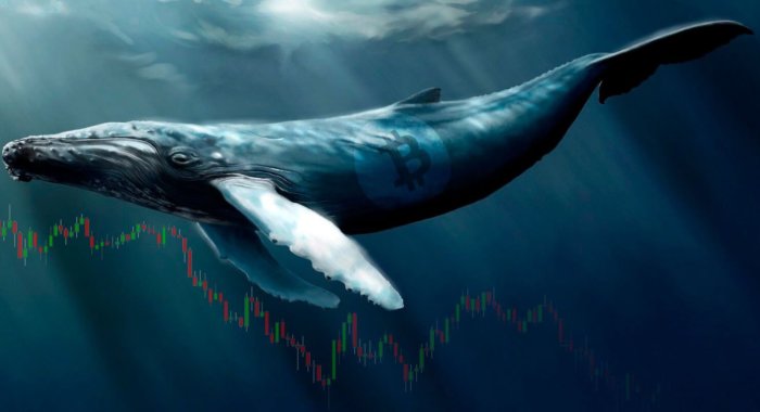 Кто в действительности владеет биткойном?