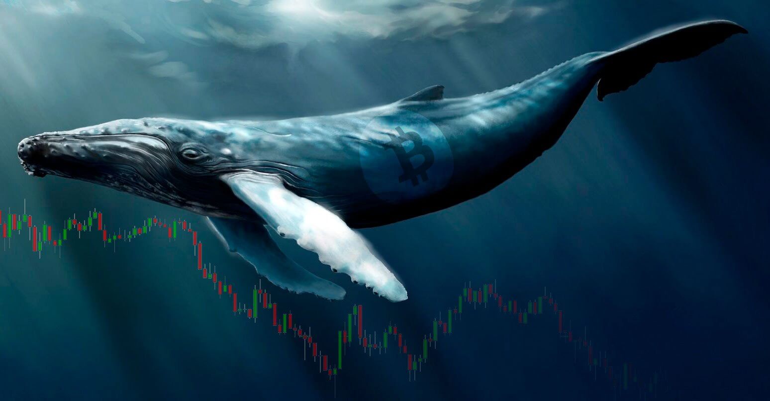 coinmag