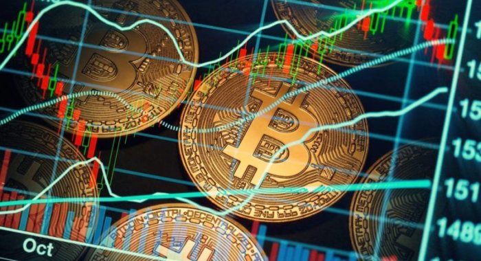 Значение волатильности биткойна