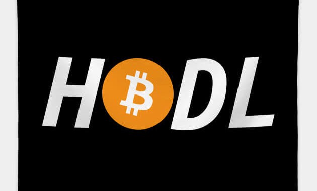 40% инвесторов — это ходлеры