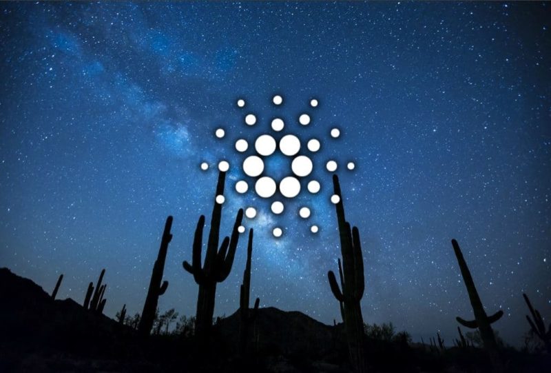 coinmag