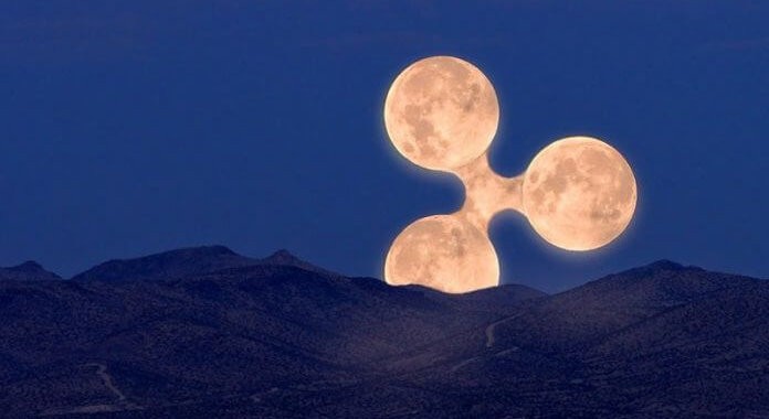 xRapid от Ripple будет сотрудничать с Bittrex