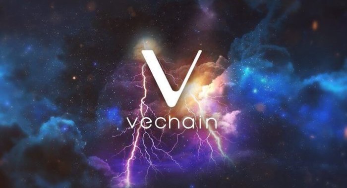 VeChain сотрудничает с Walmart и BMW
