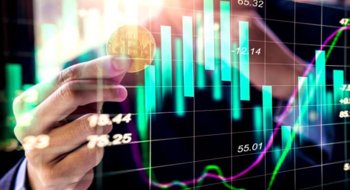 Платформа Circle увеличила количество институциональных инвесторов на 30%