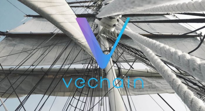 Какие ICO планируют провести на платформе VeChainThor