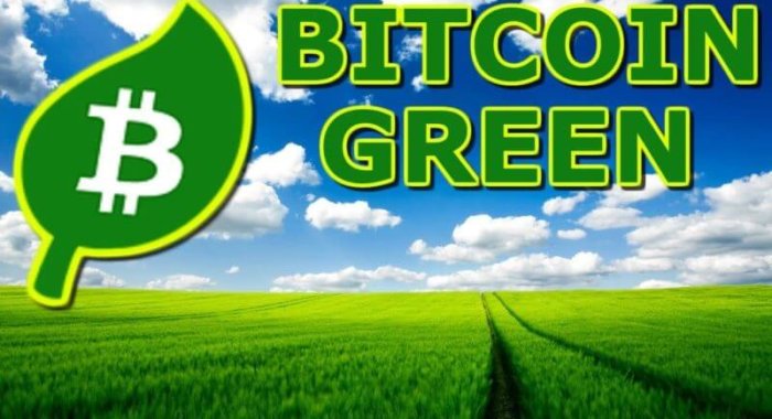 Bitcoin Green (BITG) стремится изменить лицо криптовалют?