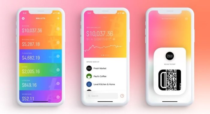 Flexa: новое приложение для платежей по всему миру