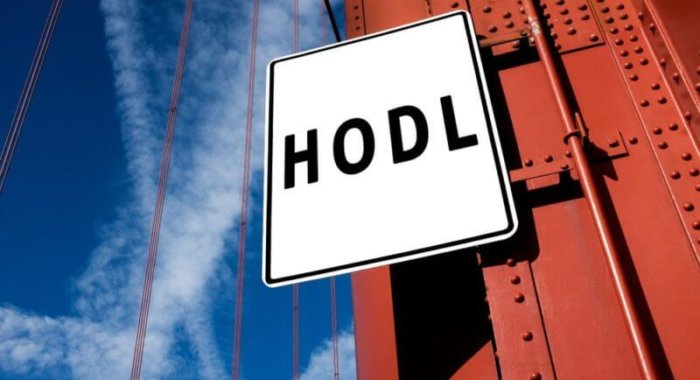 Hodl и Recovery Check ~ новые приложения Ledger Nano S для хранения биткоинов