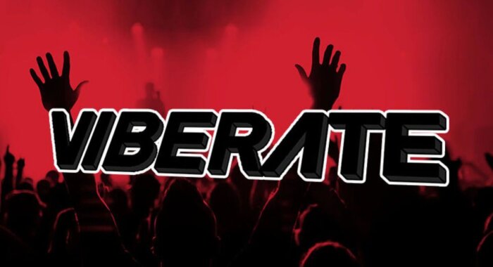 Viberate: всего 9 месяцев от ICO до платформы с музыкальным контентом