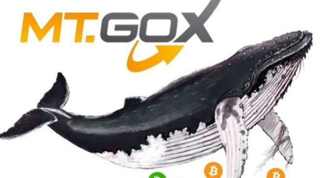 coinmag