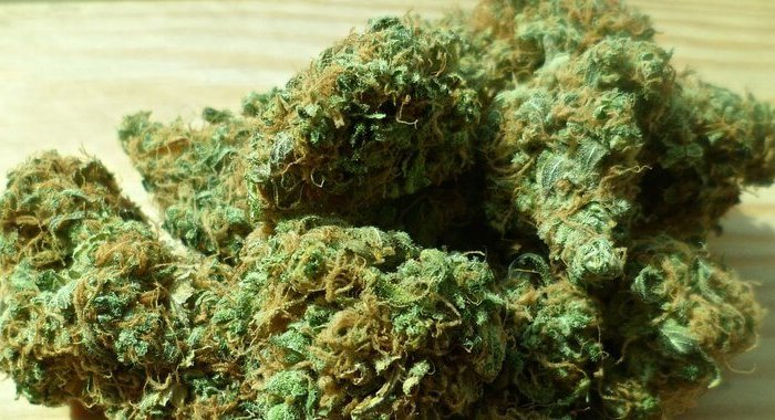 Новограц сравнил марихуану с крипторынком