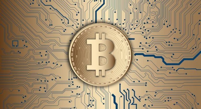 PlasmaPay запустила новую криптовалютную платежную систему