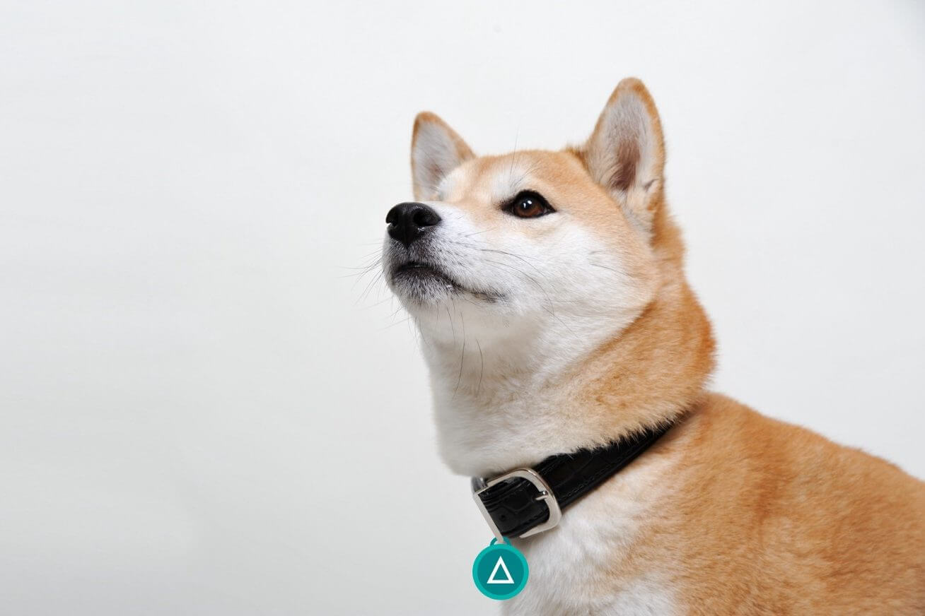 coinmag