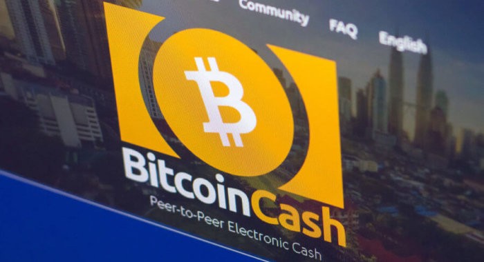 Сегодня BTC.TOP добыл больше половины BCH