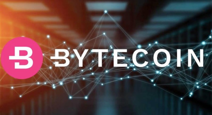 «Проверяемый» кошелек Bytecoin