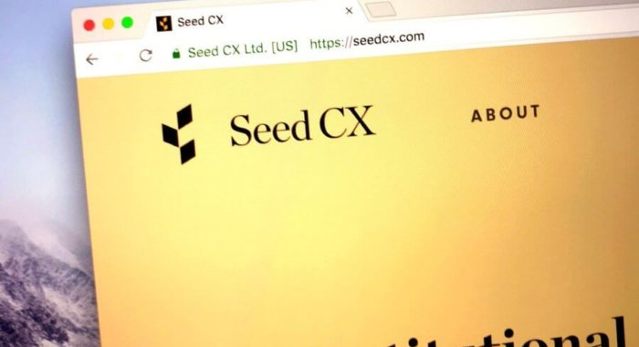 Seed CX запретила сотрудникам торговать криптой