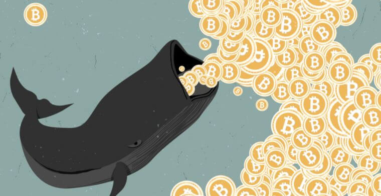 coinmag