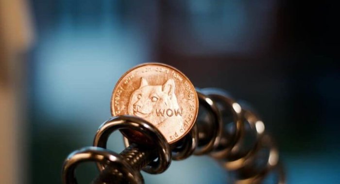 Вопрос в Твиттере запустил памп Dogecoin