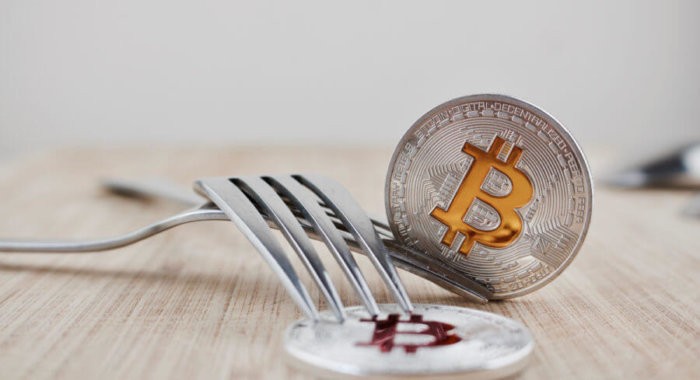 Bitcoin SV считает себя «истинным биткоином»