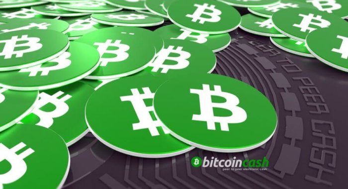 Размер блока BCH никогда не достигал 8 МБ