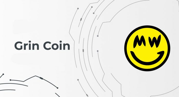 Новая перспективная криптовалюта Grin