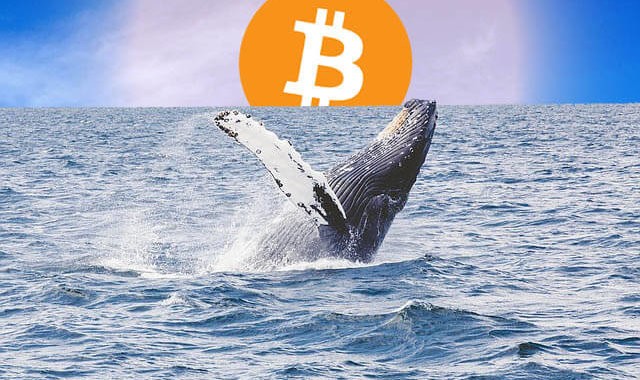 Исследование: биткоин-киты теряют свои позиции на рынке