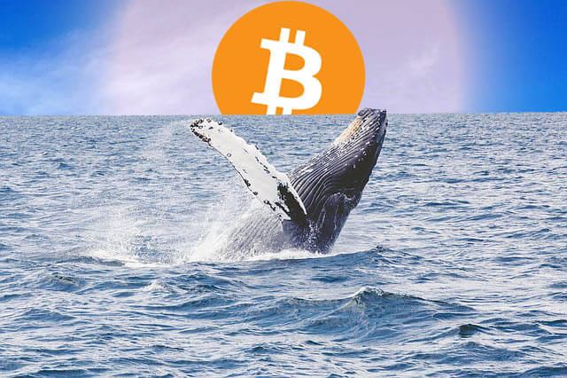 coinmag