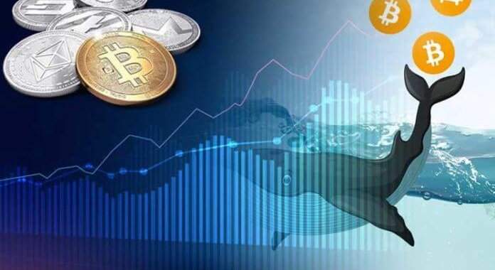 Движения китов и размер комиссии BTC-транзакции