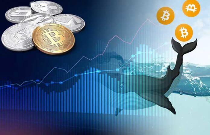 coinmag