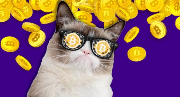 Биткоин-платежи в Твиттере через Tippin