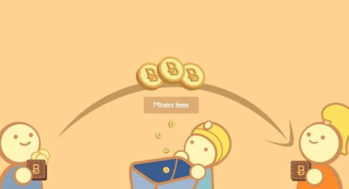 Объем транзакций BTC вырос более чем на 30%